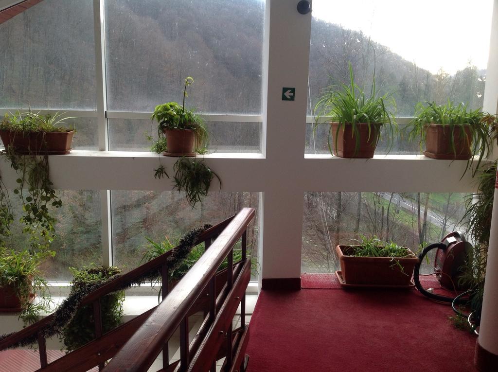 Hotel Panoramic 모네아사 객실 사진