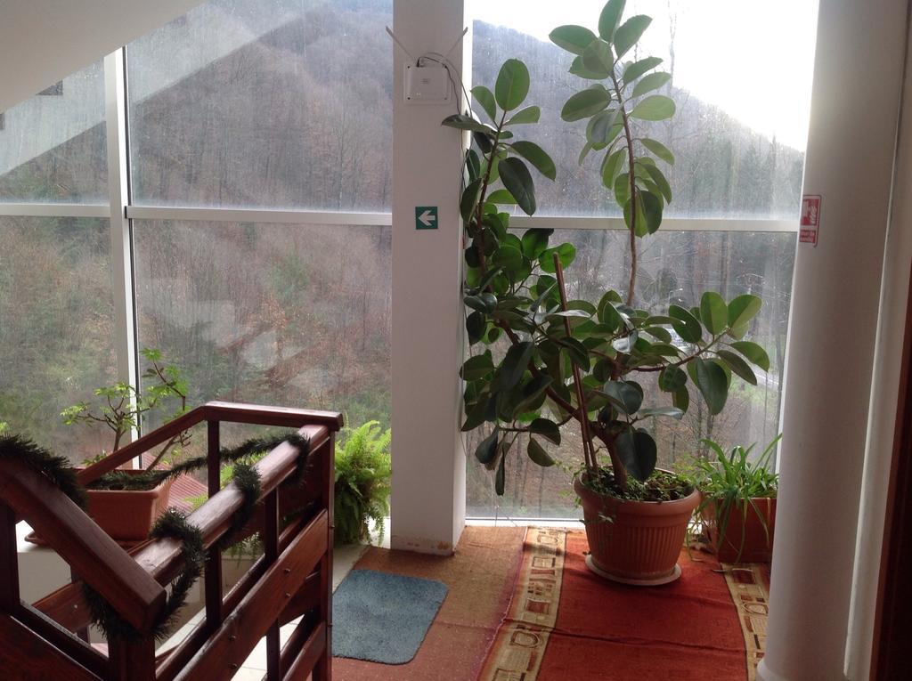 Hotel Panoramic 모네아사 객실 사진